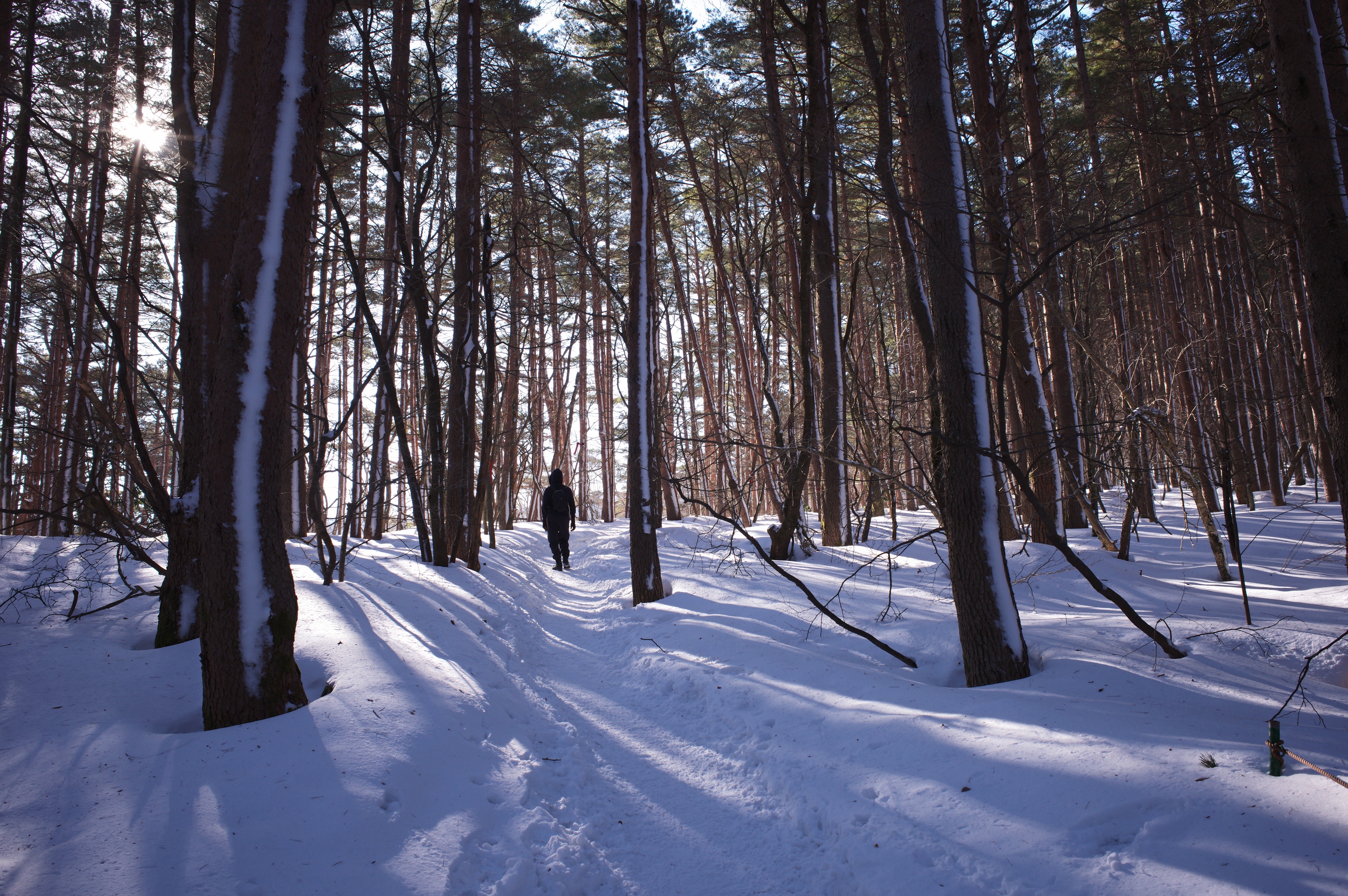 hiking in snowy Hallasan